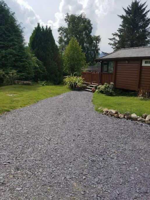 Cosy Cabin In Snowdonia With Views Wi-Fi Dog Friendly & Parking Trawsfynydd Zewnętrze zdjęcie