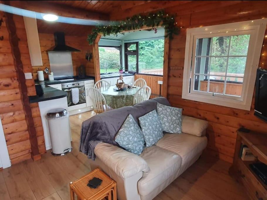 Cosy Cabin In Snowdonia With Views Wi-Fi Dog Friendly & Parking Trawsfynydd Zewnętrze zdjęcie