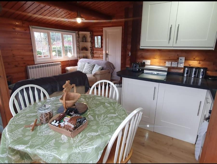 Cosy Cabin In Snowdonia With Views Wi-Fi Dog Friendly & Parking Trawsfynydd Zewnętrze zdjęcie