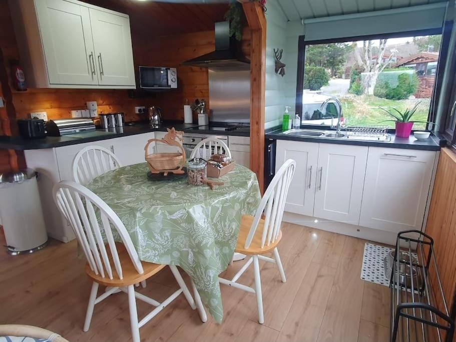 Cosy Cabin In Snowdonia With Views Wi-Fi Dog Friendly & Parking Trawsfynydd Zewnętrze zdjęcie