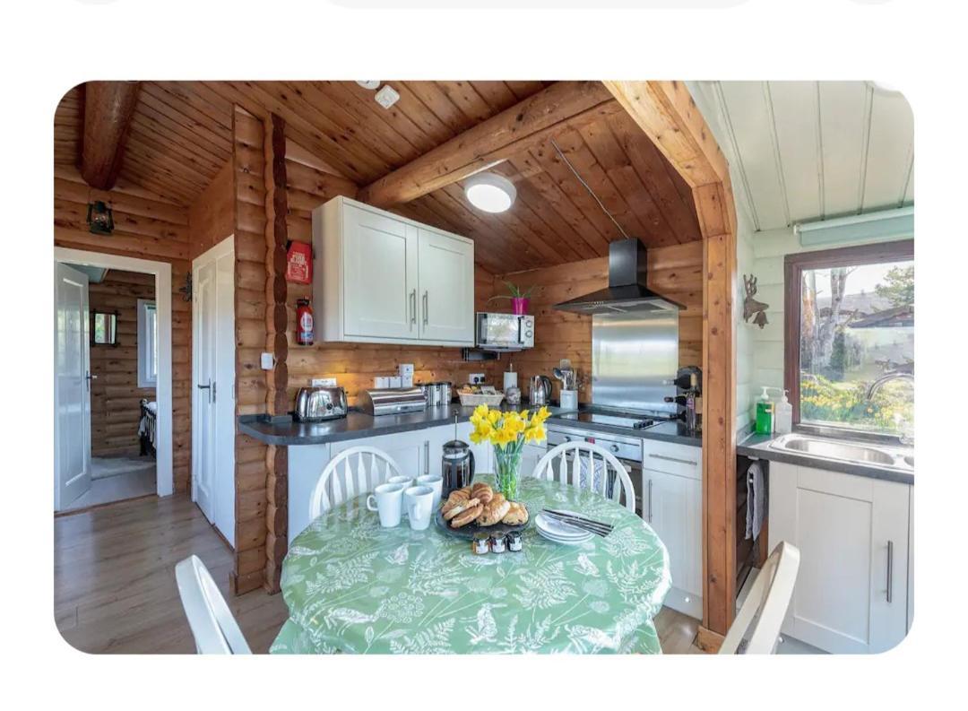 Cosy Cabin In Snowdonia With Views Wi-Fi Dog Friendly & Parking Trawsfynydd Zewnętrze zdjęcie