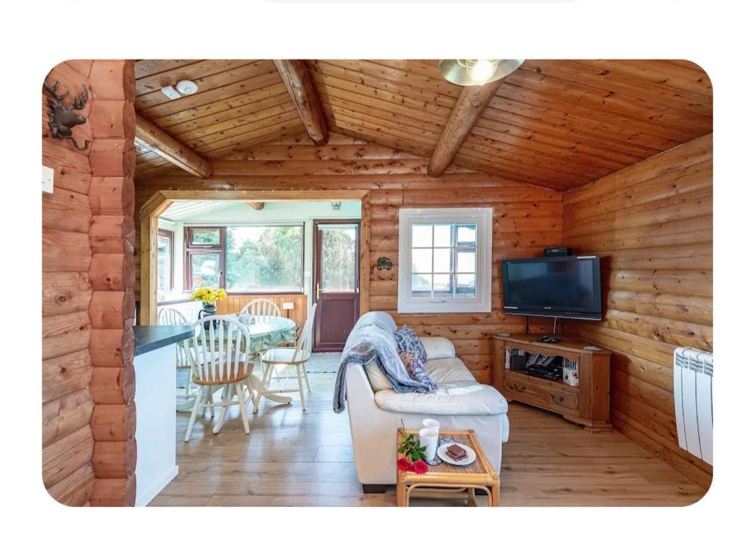 Cosy Cabin In Snowdonia With Views Wi-Fi Dog Friendly & Parking Trawsfynydd Zewnętrze zdjęcie