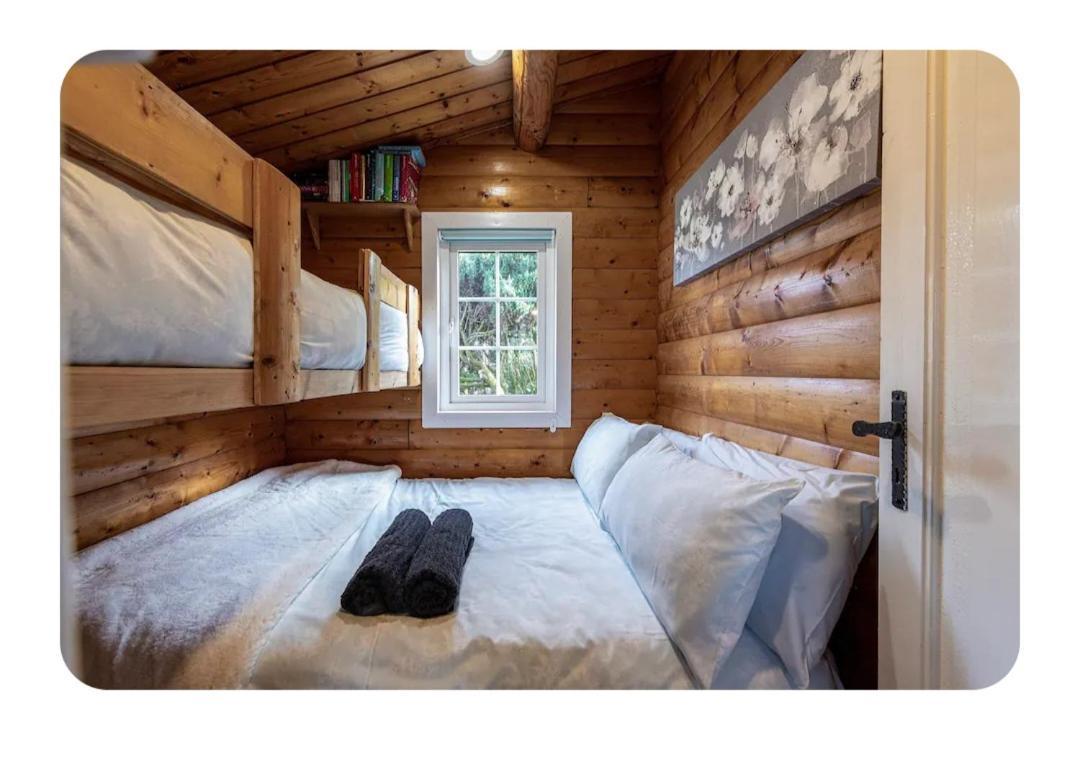 Cosy Cabin In Snowdonia With Views Wi-Fi Dog Friendly & Parking Trawsfynydd Zewnętrze zdjęcie